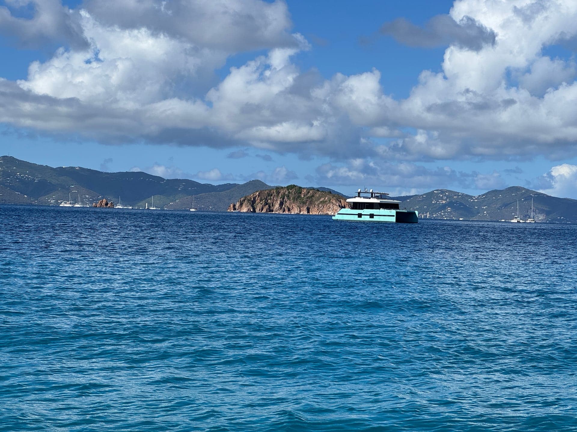 Orca off a Caribbean headland