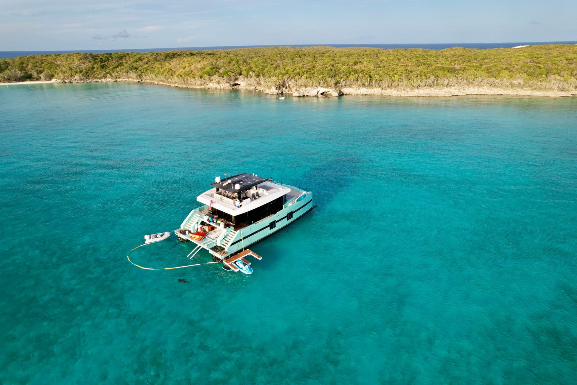 Orca broadside, sunset