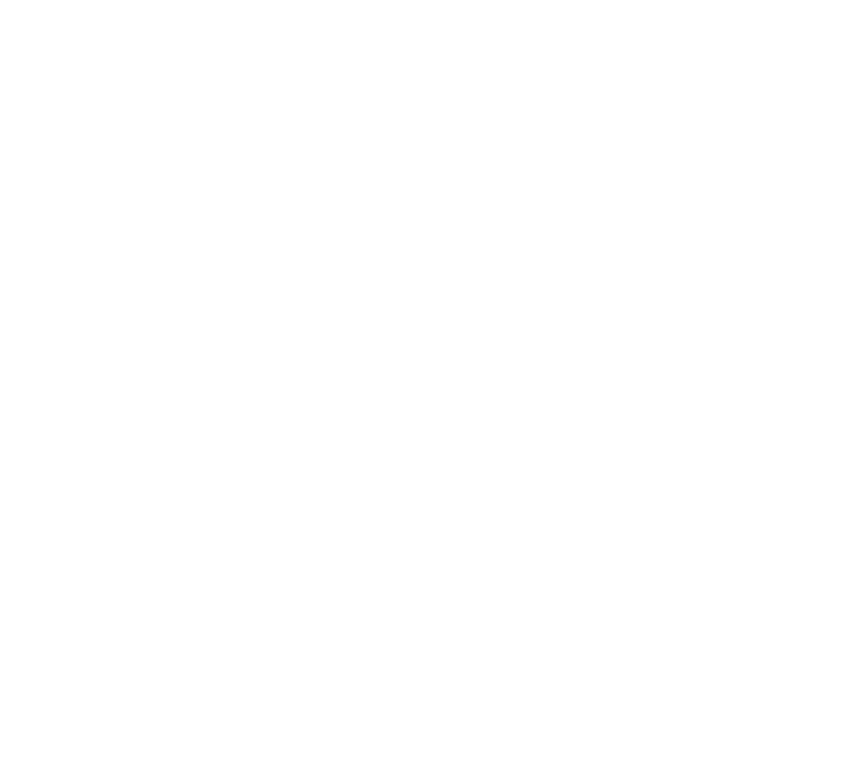 Orca